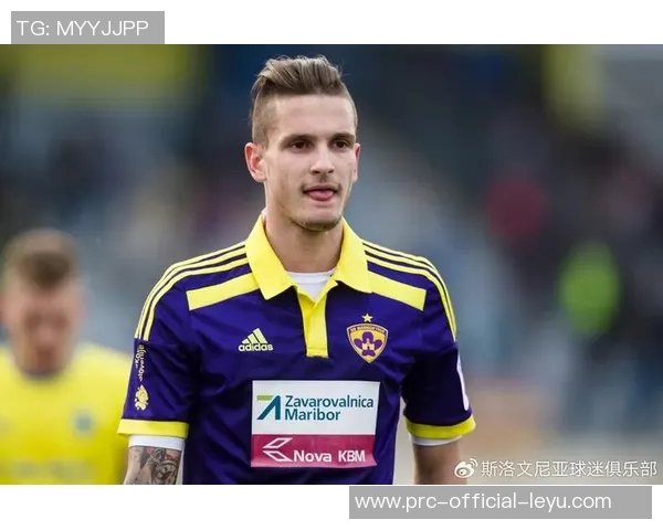 探秘法国足球级别体系及其对职业联赛发展的影响与未来展望